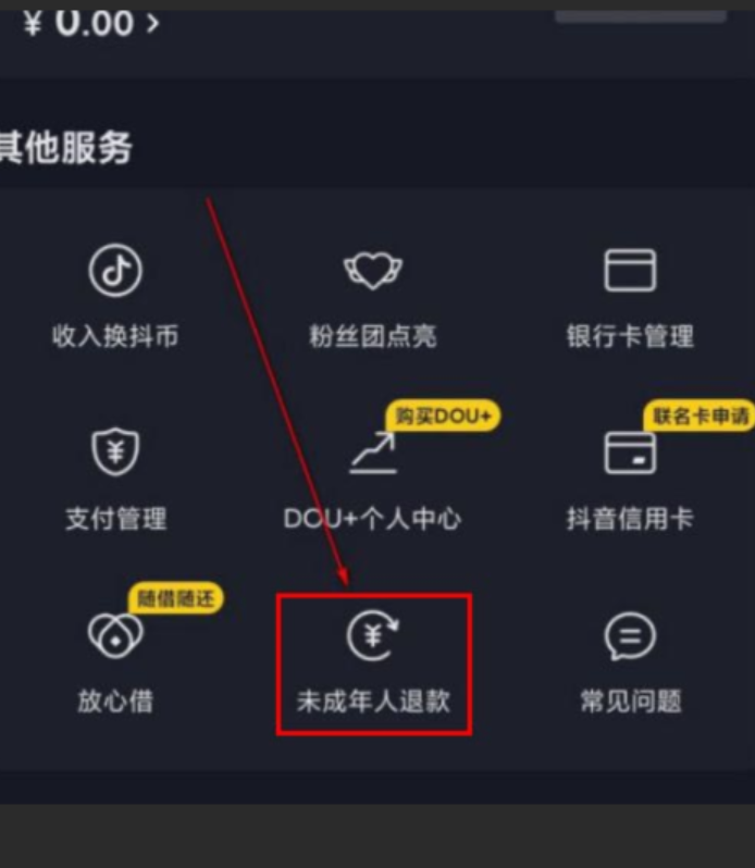 成年人冒充未成年人在抖音申请退款会成功吗？抖音打赏如何退款？深度解析打赏退款规则