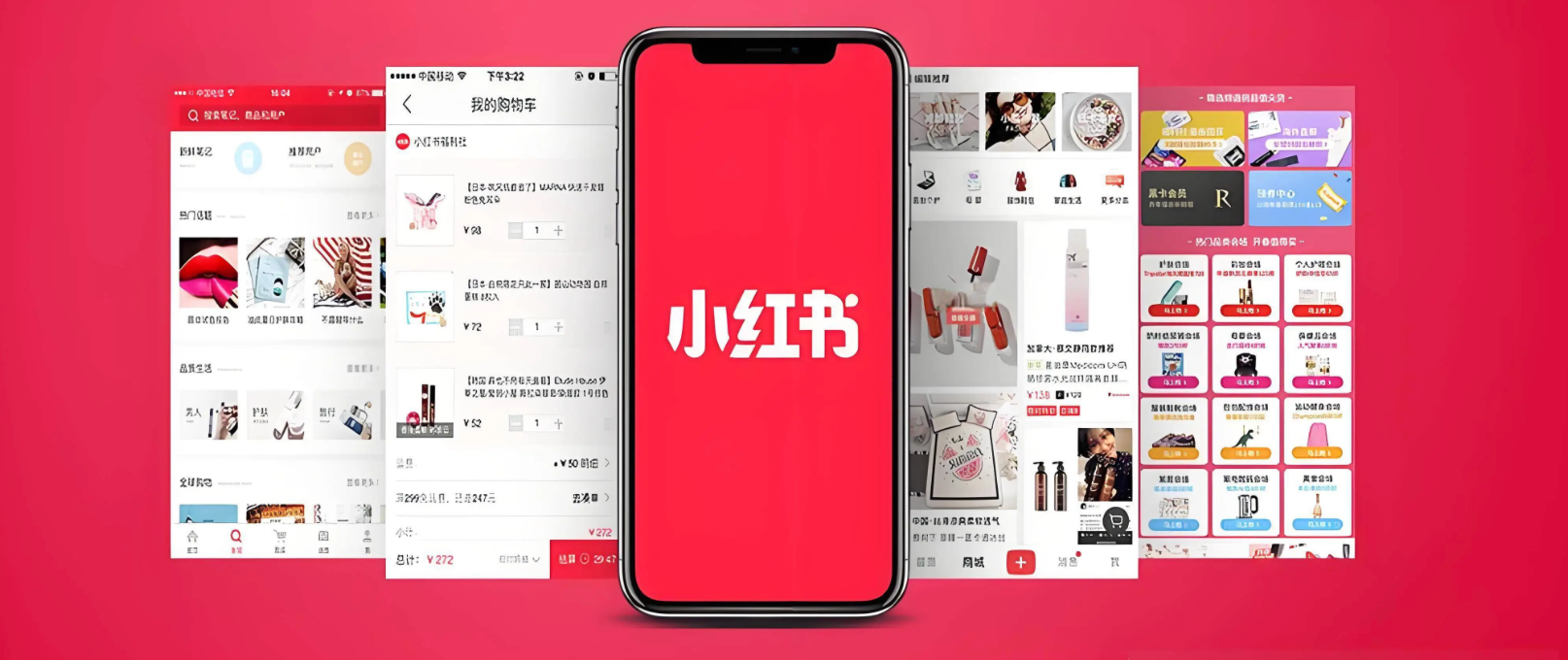 小红书算法推荐透明度到底提升了多少?“不感兴趣”功能优化真能帮用户打破信息茧房吗?