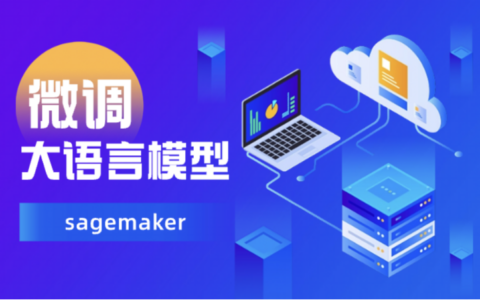 如何在亚马逊平台使用SageMaker高效微调大语言模型？