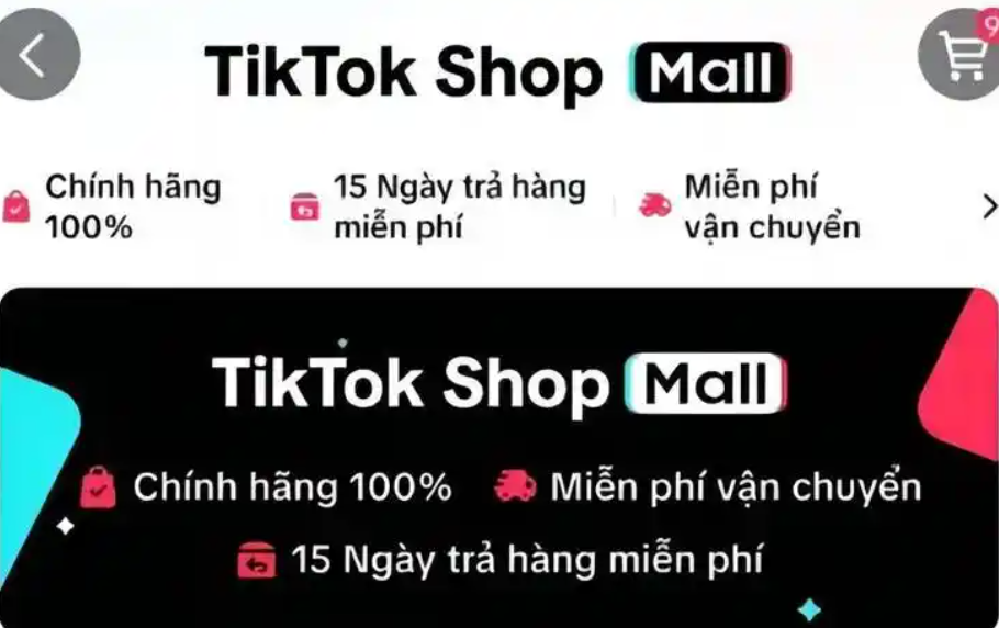 TikTok Shop东南亚双11大促有哪些玩法攻略？这是一篇商家实现销售增长的攻略！