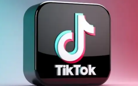 TikTok电商的小玩意单日爆卖4000单，真的火出圈了吗？揭秘TikTok电商小玩意爆卖背后的原因！