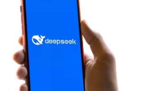 DeepSeek R1在部署和集成方面提供了哪些灵活性？这些灵活性会对用户带来什么便利？