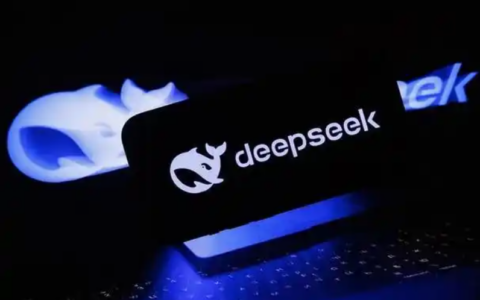 DeepSeek真的是AI领域的性价比之王吗？低成本训练与性能优势可圈可点！