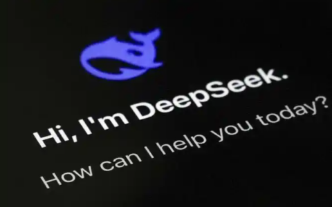 DeepSeek：人工智能领域的革新者，它的未来在哪里？未来充满了无限可能！