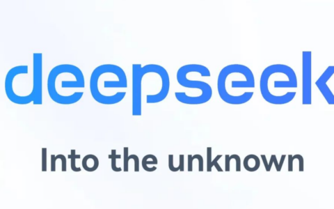 DeepSeek使用教程中有哪些关键步骤？进阶使用中应该如何进行定制化服务？