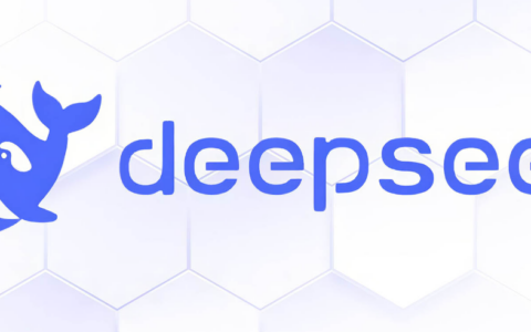 大模型圈最新现状中，DeepSeek的使用情况如何？DeepSeek的使用方式有哪些？