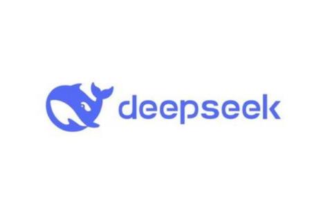 DeepSeek的开源策略有助于开发者吗？其代码易于定制吗？答案是肯定的！