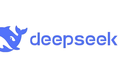 DeepSeek的算力支持合作是否为其发展提供了坚实基础？是！还起到了不可忽视的重要作用！