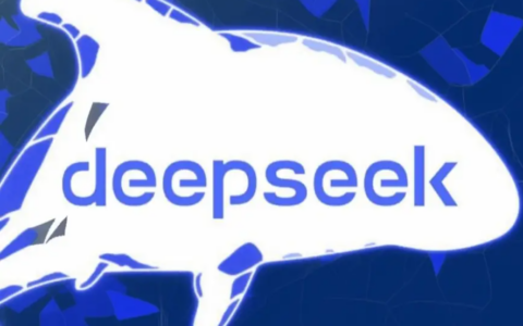 DeepSeek的性能真的卓越吗？其在长文本处理上的表现如何呢？能否满足用户日益增长的需求呢？