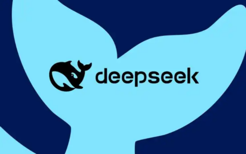 DeepSeek的多模态能力到底有多强？真能处理多种数据类型吗？科技爱好者、从业者需要了解的事！