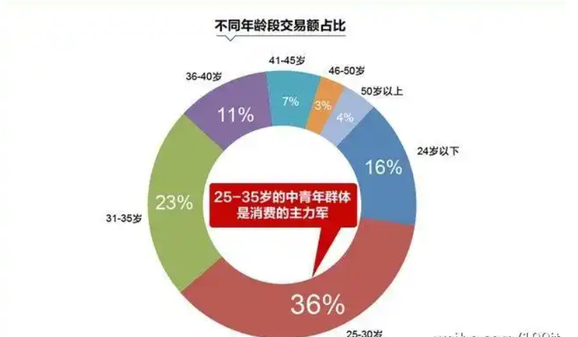 淘宝用户画像流程如何操作？如何分析？探索和优化操作流程和分析方法以适应市场变化。