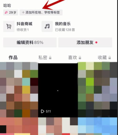 哪些抖音标签能提高浏览量？哪种类型的标签最具吸引力？抖音运营秘籍：如何用标签策略引爆视频浏览量？