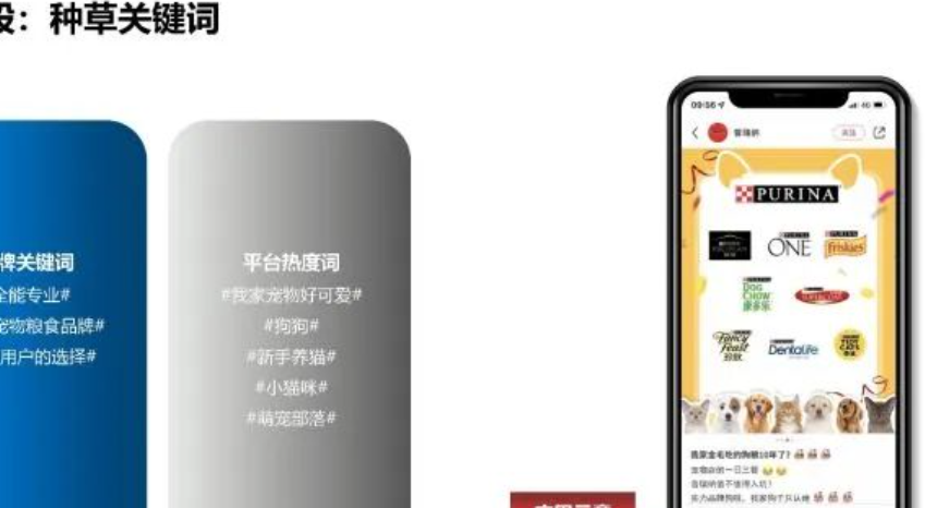 自定义标签怎么设才更有效？有哪些注意事项？从标题定位到合规避坑，手把手教你用标签撬动精准流量！