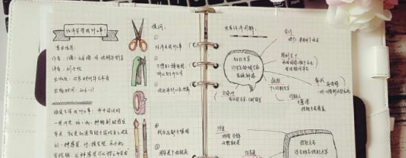 文字笔记格式怎么设计才更清晰有吸引力？文字笔记格式设计黄金法则：从逻辑架构到视觉吸引的高效呈现！