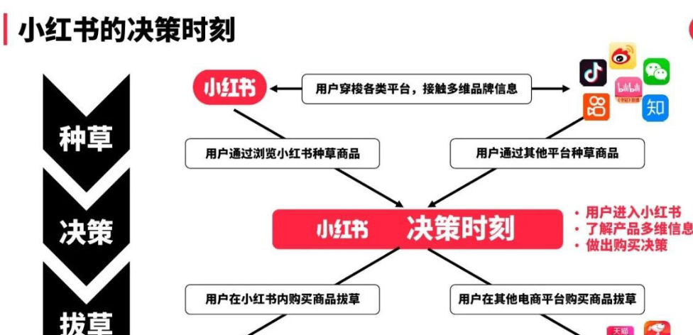 哪些数据对于小红书内容创作至关重要？小红书数据洞察是爆款内容的导航仪还是创作自由的紧箍咒？