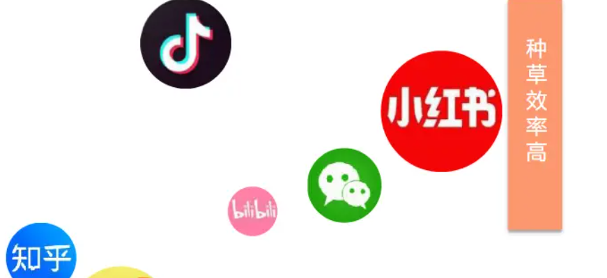 小红书视频有哪几种展现形式？该怎么选择？深度解析普通短视频、长视频与系列视频：3步选择策略助你精准吸引目标受众！