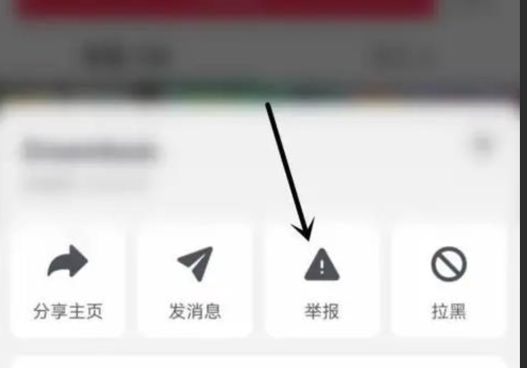 抖音飞鸽举报功能怎么使用？操作步骤是什么？详细图文指引最新版来啦！