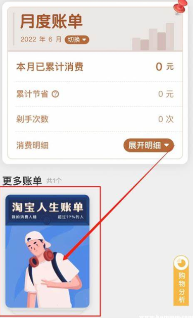 我的淘宝人生总账单在哪看？看不到账单咋办？淘宝人生总账单查询指南：查看方法与常见问题解决!
