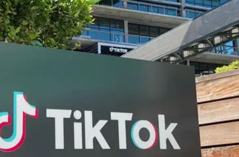 TikTok复用背后，马斯克的市场博弈与数据安全挑战如何分析？解构市场博弈规则差异、数据安全挑战与X平台入华可行性！