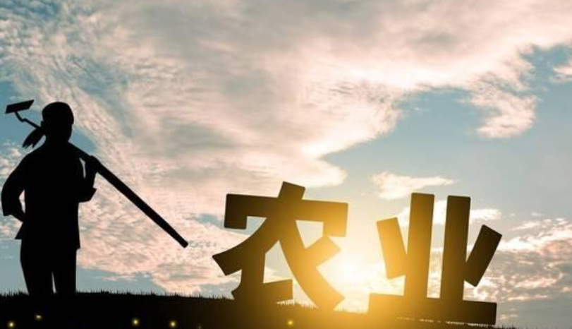 抖音三农具体是什么意思？如何打造一个优质的三农账号？从农业技术到农村故事，手把手教你精准定位、创意拍摄与算法破圈！