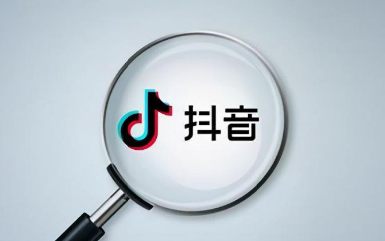 你真的了解抖音流量的“游戏规则”吗？深度解析自然流量与粉丝流量双引擎驱动，掌握账号权重提升，突破流量增长引擎！