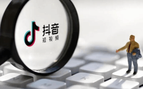数据驱动能否成为抖音流量获取的“终极武器”？解析自然流量优化与付费流量投放的协同策略，实现流量获取效率提升！