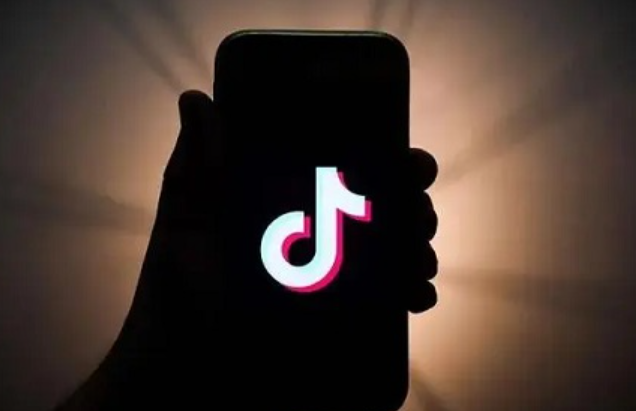 百万粉丝讲师亲授：抖音小白如何快速进阶为流量操盘手？破解内容创作、算法利用与商业变现难题，实现从0到百万粉丝的跨越！