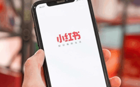 小红书商家店播真的是未来蓝海吗？2025年如何抓住五倍增长红利？深度解析点播价值、挑战与实战策略！