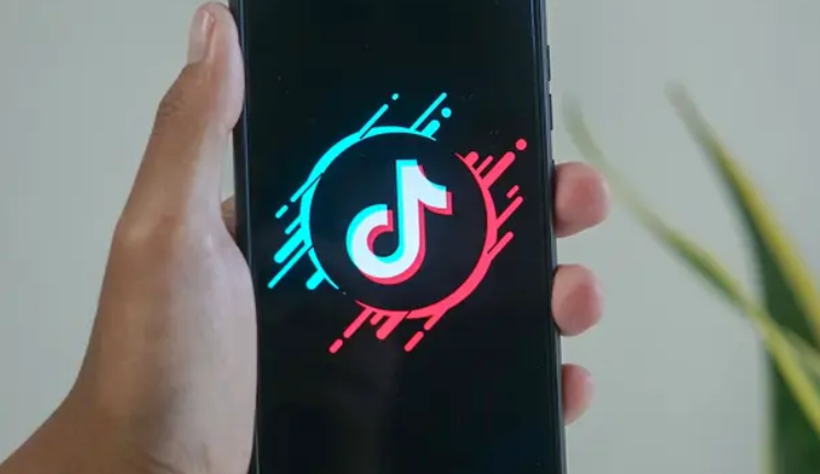 抖音流量密码：普通人如何靠强IP实现财富自由？揭秘从0到1打造抖音IP的四步法，从定位到变现的完整商业闭环！
