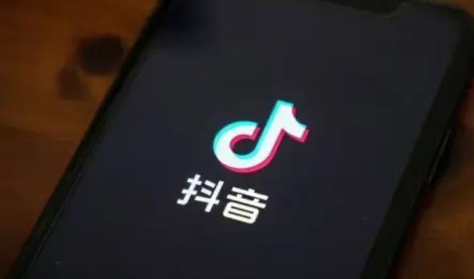 抖音SEO真是流量蓝海？深度融合内容与搜索算法，通过受众洞察、词库构建与多场景布局，打造持续获利的流量入口！
