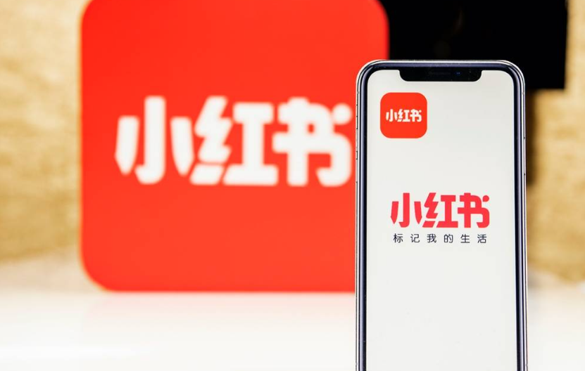 小红书与抖音，谁才是流量王者？深度解析两大平台算法机制差异，从推荐逻辑到实操策略的全方位对比指南！