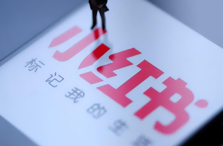 抖音与小红书的内容分发逻辑有何不同？解析算法推荐与种草机制的本质差异，揭示对创作者、品牌与用户的深层影响！