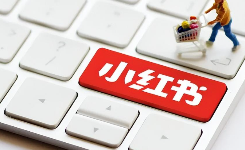 谁能在小红书赚到第一个1000万？揭秘头部网红、成功商家与知识创作者的三大共性特质与运营策略！