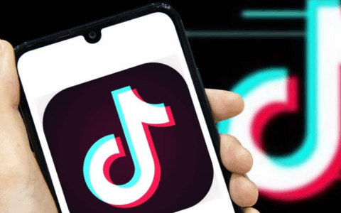 京东POP店ROI如何提升？晓多智能跟单系统怎样增加回款？京东POP店ROI提升与晓多智能跟单系统实战指南