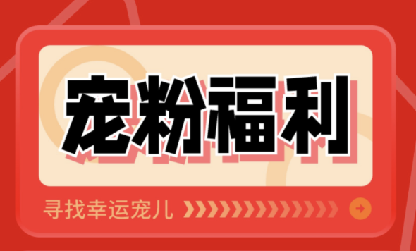 淘宝直播间如何提升粉丝等级？直播技巧是什么？快速提升粉丝等级实战策略：内容、互动与专属权益的核心方法论