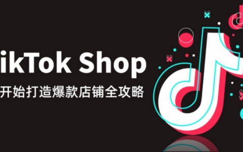 TikTok Shop Star Shop+计划暂停新增申请，中国跨境卖家还有哪些扶持入口？