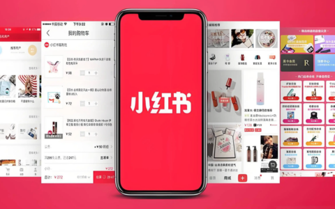 小红书种草笔记预算有限？如何实现低成本高回报？掌握性价比策略，轻松带来流量！